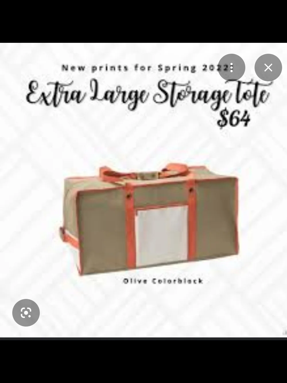 thirty-one Olive Storage Tote with Coral Trim
